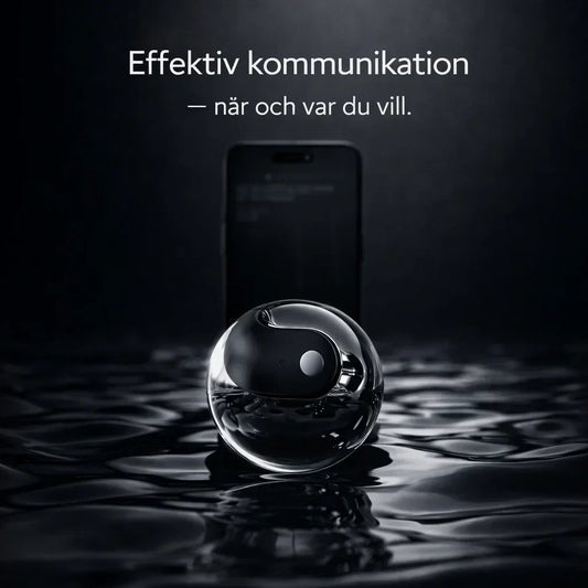 Lingora – Förstå varandra direkt, utan språkbarriärer